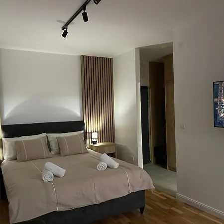 Aleksandar * Temerin